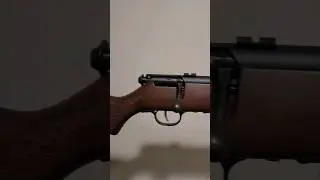 22wmr savage 93 bolt action