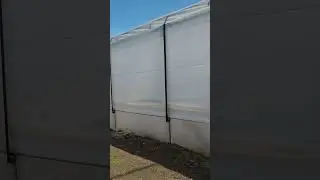 Prindere Chingă pe Solar