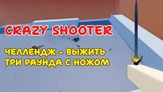 Челлендж в Roblox Crazy Shooter