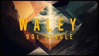 IJO - Waley | 90s Jungle