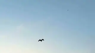 7sad song play video