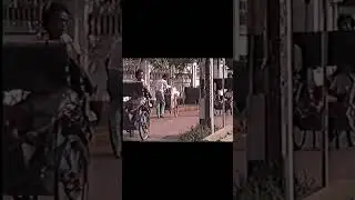 Greenville Barat Jakarta Street Life