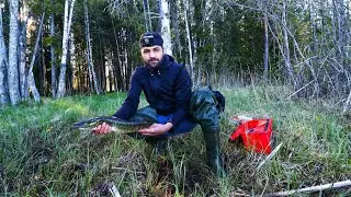 صيد سمك ( يدا )  وحش البحيرات في السويد 🏞️