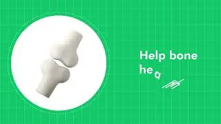 Organic Hadjod  (Cissus) Tablets for Joint Health & Bone Support - Natural Healing Supplement