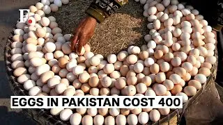 Pakistan Reels Under Skyrocketing Commodity Prices Ahead of General Election