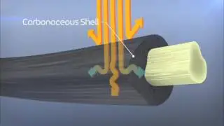 TECGEN Fabric and Fibers
