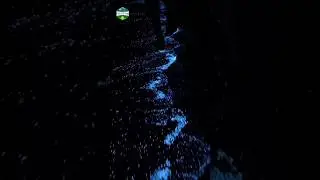 Unreal The 4 India Most Magical Bioluminescent Beaches  🌌  😱✨ #Shorts #travel #beauty
