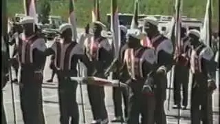 FAMU Marching 100 Flag Corp (The Dirty Dozen)