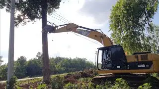 เจอต้นใหญ่ๆแบบนี้จะล้มได้ไหมCAT320D GC