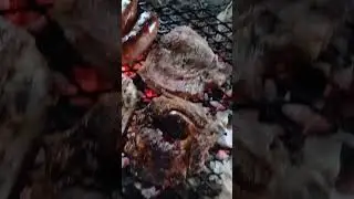 parrilla bajo de la autopi