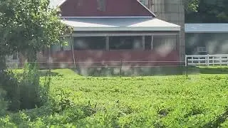 Mysterious Swarm - What's going on here?