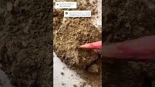 How to : Rare Coin Clean 🪥