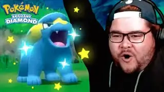I Really Wanted This Shiny!