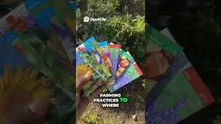 California's Environment  Urban Farming for a Better Future