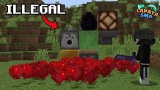 This Dragon Egg Is Illegal