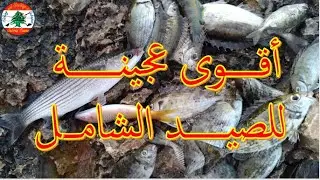 صيد سمك البوري مواسطة بو شوكة بالقصبة البلدية وطعم عجين القريدس وعجينة السردين في اقوى موقع صيد صخري