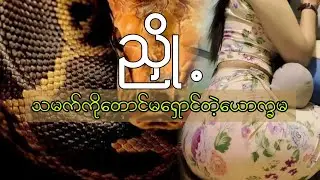 ဖိလစ်ပိုင်ကားထက်ကြမ်းတယ် ညှို့ ယောက္ခမနဲ့သမက်ဇာတ်လမ်း