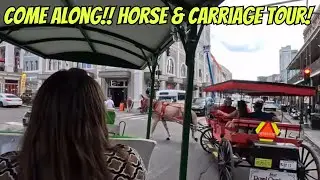 COME ALONG!!  Awesome Horse & Carriage Tour Of New Orleans!! - City Tour