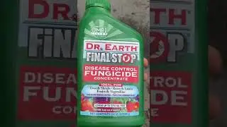 Treating watermelon for powdery mildew with an organic fungicide&hellip;