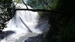 Bale Mountains National Park(Ethiopia) (Abdisa Ahmed Bale Tour Guide)