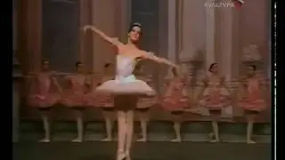 No&euml;lla Pontois Sugar Plum Fairy