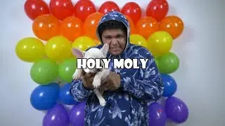 JGAR FT. RICH$$$ - Holy Moly  (Official Music Video)