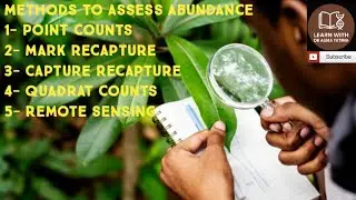 Methods to assess abundance| point counts| mark recapture| capture recapture| remote sensing 