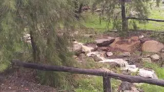 Wollemi Adventure Resort Kandos, NSW, Australia