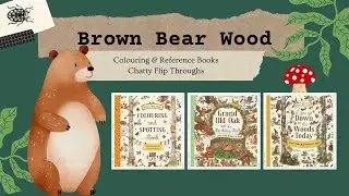 Brown Bear Wood - Colouring & Reference Books - Chatty Flip Throughs