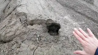 Post Alluvione, ecco come appare il nuovo Argine sul Secchia dopo la piena. I danni sono evidenti