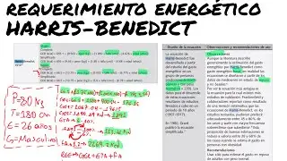 TALLER DE CÁLCULO NUTRICIONAL | REQUERIMIENTO ENERGÉTICO HARRIS