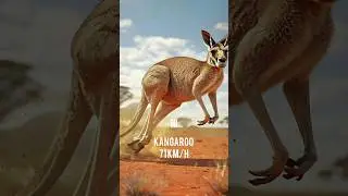 Top 10 Fastest Land Animals