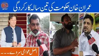 Imran Khan Government in Pakistan | Real Public Survey | Lamha News