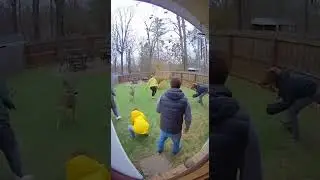Tornado Hits Backyard&hellip; Humans Save Animals in Chaos