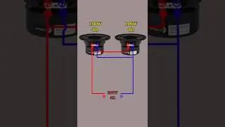 100 watt +100 watt speaker 4 ohoms kanaksan #youtubestutasvideo