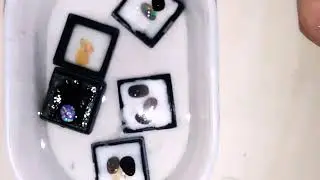 Cara mudah membedakan black Opal Banten dengan wello atau kalimaya afrika