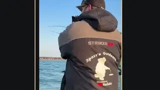 SALMON TROLLING MUD LINE LAKE HURON🎣🔥 CATCH AND CLEAN #fishing #salmon  #cohosalmon #catchingfish
