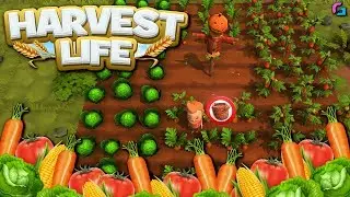 Another Cute Farming/Life Sim | Harvest Life | Indie Game