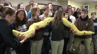 Psychology Professor Lisa Dinella and students from her class 