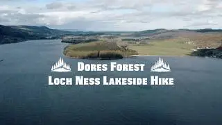 Dores Forest - Loch Ness Lakeside Hike