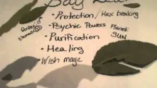 Magical Herbs: Bay Leaf