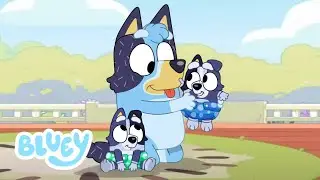 Bluey ma więcej dzieci | Sezon 4 ✨