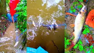 The great Indian fishing by Kolkata Fishing YouTube Channel