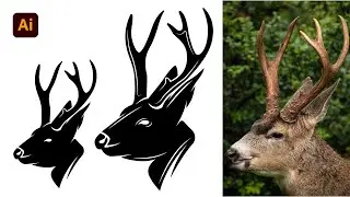 How to Turn a Photo into a Minimal Deer Logo in Illustrator | Step-by-Step Tutorial