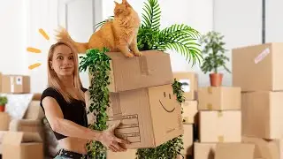 Je déménage: galères et gros changements!