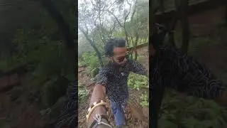 Located in Maharashtra #explore #explorepage #follow #followback #maharashtra #satara #viral #video