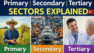 Primary, Secondary & Tertiary Sectors Explained Simply | Economics Basics for Students