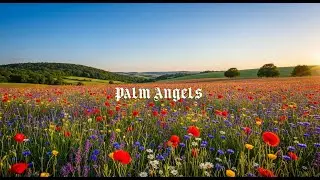Palm Angels - Dean & 77Madz