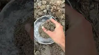 Hydraulic Sluicing to find Rich Concentrations of Gold!