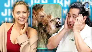 Someone Made a Documentary About How Gay Animals Are